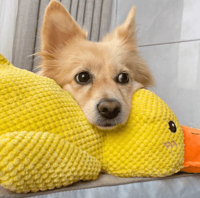 Vivahine Calming Duck Toy (✔️ Non-Toxic Chew-Resistant Fabric)