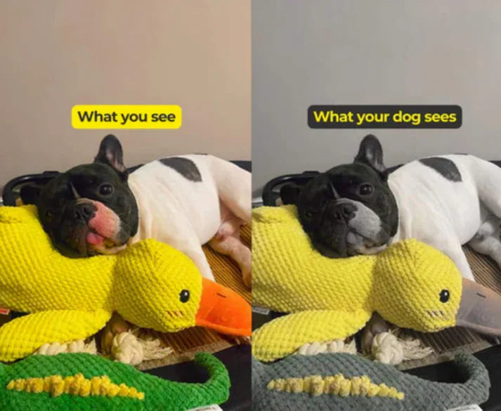 Vivahine Calming Duck Toy (✔️ Non-Toxic Chew-Resistant Fabric)