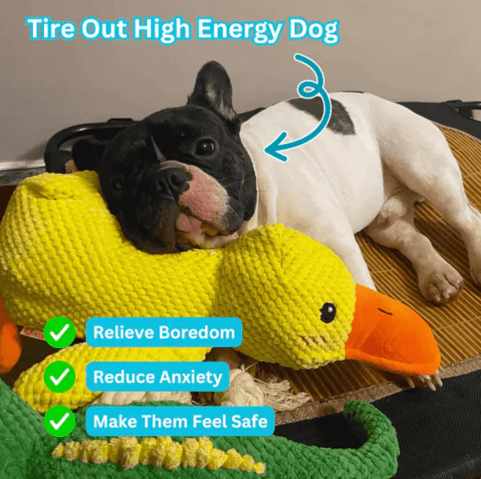 Vivahine Calming Duck Toy (✔️ Non-Toxic Chew-Resistant Fabric)
