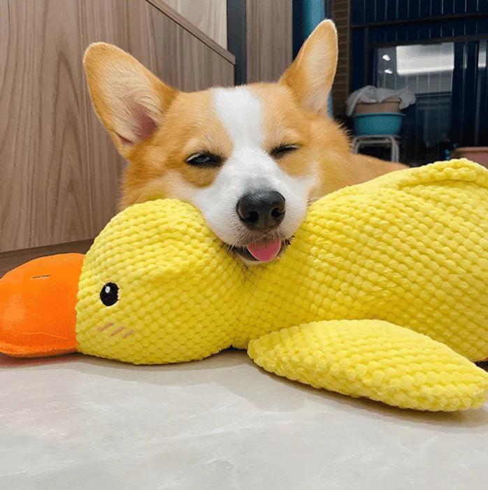 Vivahine Calming Duck Toy (✔️ Non-Toxic Chew-Resistant Fabric)